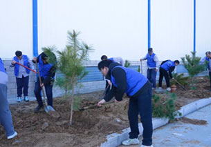 ��ҳ|bifa�ط������й��ٷ���վ